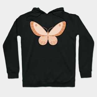 Aesthetic dreamy butterfly Hoodie